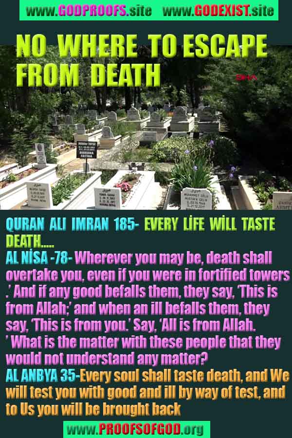 allah, allah, god,proofs, god-proofs, proofs-god, proofs of god, evidences of god, evidences-god, signs of god, signs-god, god exists proofs, god is real proofs