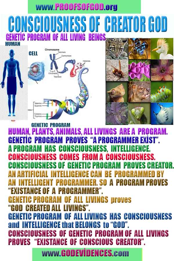 allah, allah, god,proofs, god-proofs, proofs-god, proofs of god, evidences of god, evidences-god, signs of god, signs-god, god exists proofs, god is real proofs