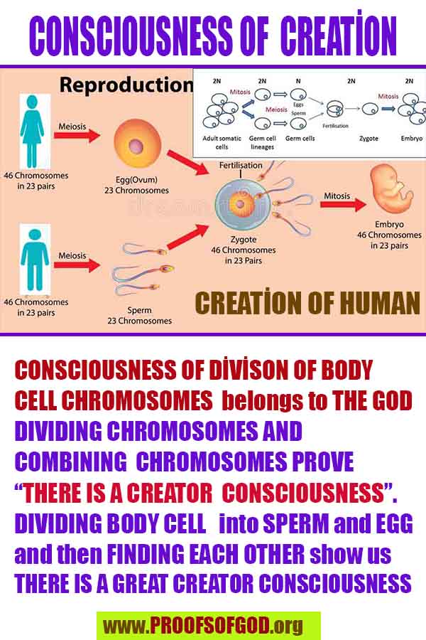 allah, god,proofs, god-proofs, proofs-god, proofs of god, evidences of god, evidences-god, signs of god, signs-god, god exists proofs, god is real proofs