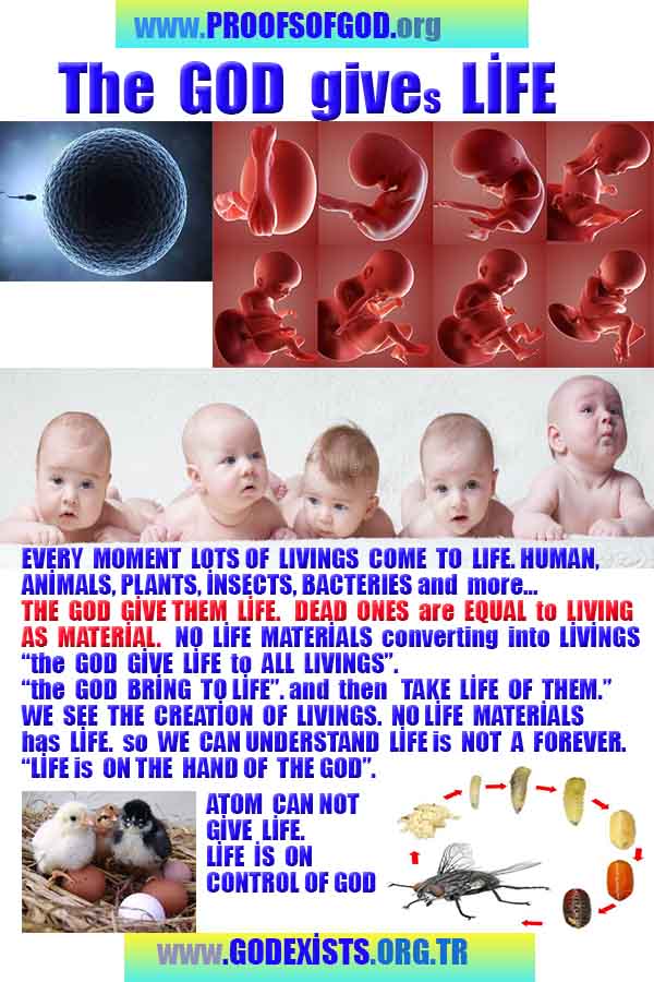 allah, allah, god,proofs, god-proofs, proofs-god, proofs of god, evidences of god, evidences-god, signs of god, signs-god, god exists proofs, god is real proofs