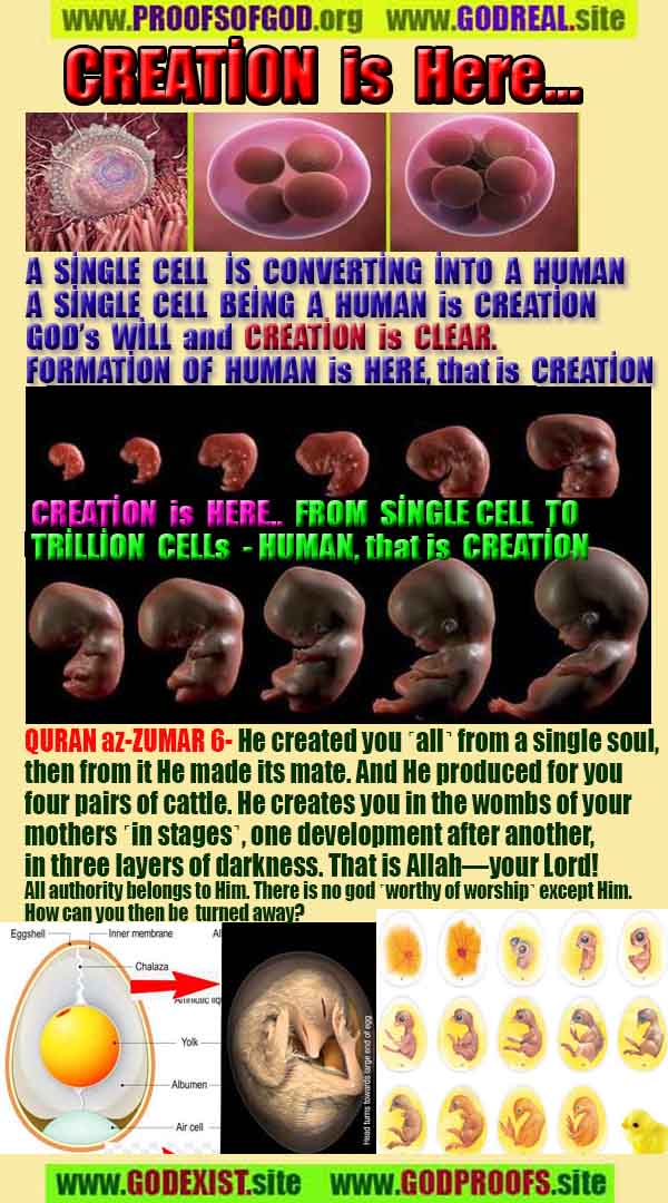 allah, god,proofs, god-proofs, proofs-god, proofs of god, evidences of god, evidences-god, signs of god, signs-god, god exists proofs, god is real proofs
