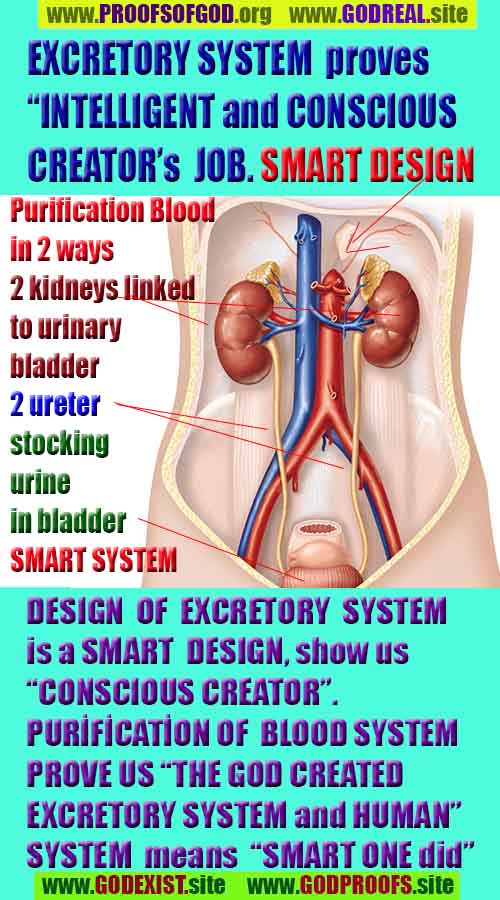 allah, allah, god,proofs, god-proofs, proofs-god, proofs of god, evidences of god, evidences-god, signs of god, signs-god, god exists proofs, god is real proofs