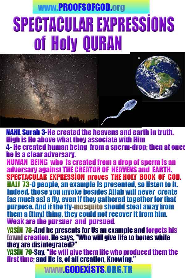 god,proofs, god-proofs, proofs-god, proofs of god, evidences of god, evidences-god, signs of god, signs-god, god exists proofs, god is real proofs
